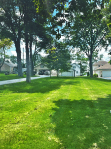 Spacious (1/2 acre) front yard provides plenty of space for outdoor activities