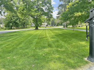 Spacious and well manicured front lawn, entrance driveway to the right